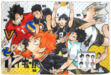 Hinata Shoyo etc Reader Selection Ver. BIG Towel Haikyu !! Jump Characters Store Goods Towel [USED]