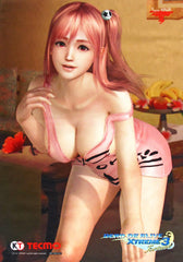 Honoka Dead or Alive Xtreme 3 A3 Original Microfiber Cloth Treasure Island Purchase Benefits Towel [USED]