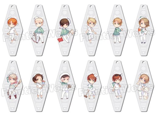 Italy, etc. Hetalia The World Twinkle Acrylic Keychain Collection All 12 Types Set Key Ring [USED]