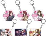 All 6 Types Set THE iDOLM@STER Shiny Colors Acrylic Keychain Collection ALSTROEMERIA Key Ring [USED]