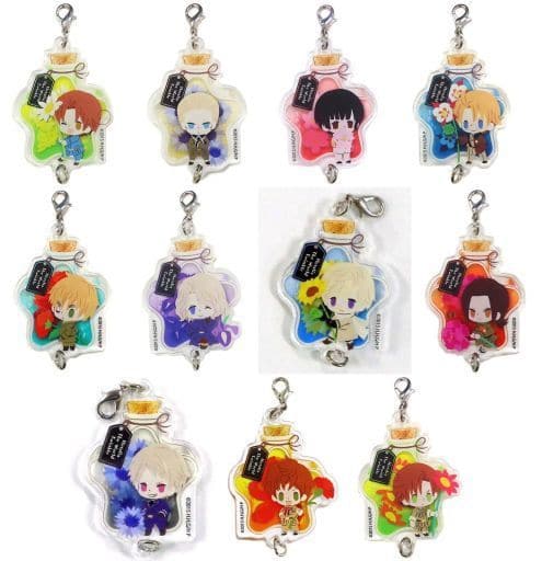 Italy, etc. Hetalia The World Twinkle X The Chara Shop Connectable Acrylic Key Chain All 11 Types Set Key Ring [USED]