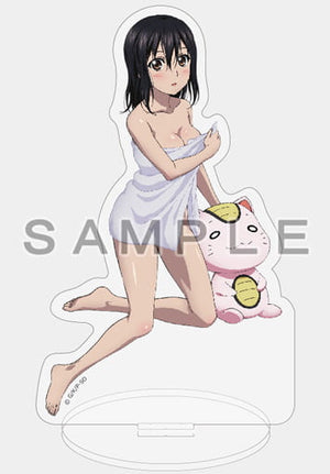 Himeragi Yukina Acrylic Stand Strike the Blood Acrylic Stand [USED]