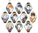 All 10 Types Set Haikyu !! Trading Ani-Art Acrylic Keychain vol.3 Key Ring [USED]