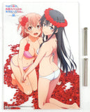 Yukinoshita Yukino & Yuigahama Yui Swinsuits Acylic Sllustration Boad Blu-ray/DVD My Teen Romantic Comedy SNAFU Too! Animate Whole Volumes Puchase Bonus Other-Goods [USED]