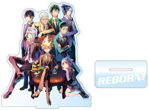 Vongola Family PALE TONE series Big Acrylic Stand Reborn! Acrylic Stand [USED]