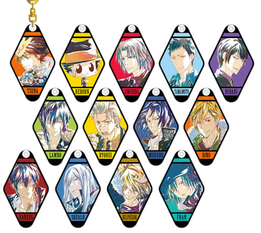 Tsunayoshi Sawada, etc. Reborn! Ani-Art Trading Acrylic Key Chains Vol.2 All 13 Types Set Key Ring [USED]