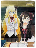 Animation Newly Drawn B2 Cloth Poster Persia & Hasuki Blu-ray Boarding School Juliet Amazon Whole Volumes Purchase Bonus Poster [USED]