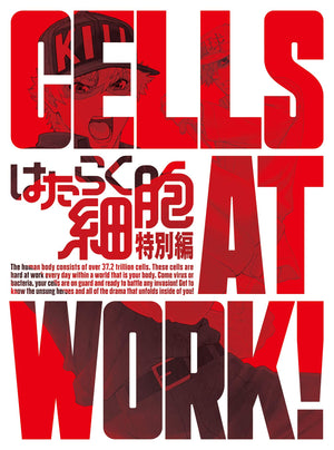 Cells at Work! Special Blu-ray Limited Edition Blu-ray [USED]