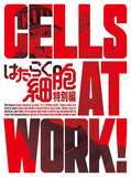 Cells at Work! Special Blu-ray Limited Edition Blu-ray [USED]