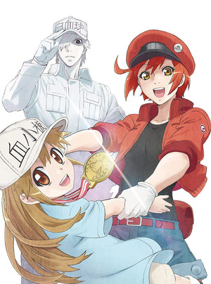 Cells at Work!! Blu-ray Vol.1 Limited Edition Blu-ray [NEW]