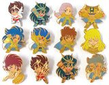 All 12 Types Set Sainto Seiya Pins Collection Vol.1 Lapel Pin [USED]