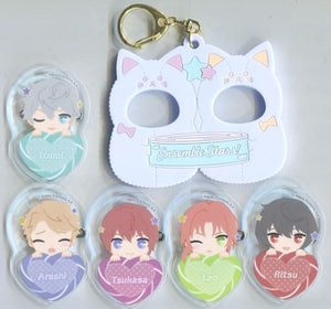 Knights Kigurumi Badge Special Set D Ensemble Stars! Animate Girls Festival 2017 Goods Badge [USED]