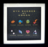 Hoenn Gym Badge Collection Complete Set 8 Set Pokemon Omega Ruby Alpha Sapphire Pokemon Center Online Limited Lapel Pin [USED]