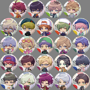 All 24 Types Set A3! SECOND Blooming FESTIVAL Can Badge Collection Can Badge [USED]