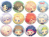 All 12 Types Set Idolish7 Character Badge Collection 24h Photogenic Life Mini Character Can Badge [USED]