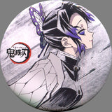 Shinobu Kocho Episode 20 Demon Slayer: Kimetsu no Yaiba Eye-Catching Image Eye Catch Random Tin Badge Part 1 Total Concentration Exhibitions Limited Can Badge [USED]