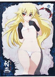 Ashikaga Chachamaru Tapestry Full Metal Daemon: Muramasa Tapestry [USED]