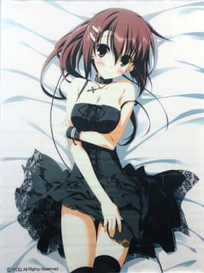 Minakami Yuki B2 Tapestry Wonderful Everyday Dakimakura Cover & Tapestry Set Single Item Tapestry [USED]