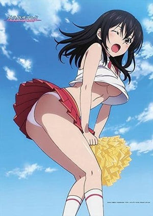 Himeragi Yukina Cheerleader B2 Tapestry Strike the Blood Tapestry [USED]