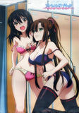 Yukina & Sayaka Ver. B2 Tapestry Strike the Blood Tapestry [USED]