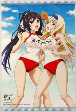 Shinonono Houki & Cecilia Alcott B2 Tapestry PS3/PS Vita Soft Infinite Stratos 2 Love and Purge Tapestry [USED]