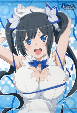 Hestia B2 Tapestry Is It Wrong to Try to Pick Up Girls in a Dungeon? Hestia Boobs Mouse Pad Limited Edition with B2 Tapestry Included Bonus Single Item Tapestry [USED]