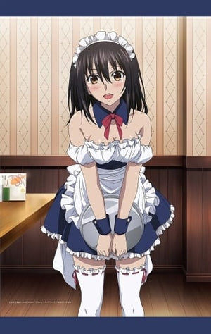 Himeragi Yukina B2 Tapestry Strike the Blood II OVA Tapestry [USED]