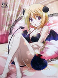 Charlotte Dunois Horii Kumi Newly Drawn B2 Tapestry Infinite Stratos: Archetype Breaker C 93 Goods Tapestry [USED]