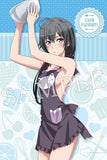 Yukinoshita Yukino B2 Tapestry My Teen Romantic Comedy SNAFU Too! Tapestry [USED]