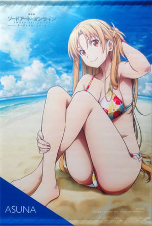 Asuna Newly Drawn A2 Tapestry Sword Art Online The Movie Ordinal Scale Ani Mate Point Prize Tapestry [USED]