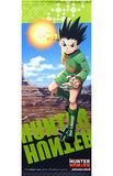 Gon Freecss Tapestry Hunter x Hunter x animate cafe 2nd Edition Greed Island G.I Tapestry [USED]