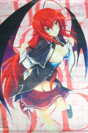 Rias Gremory B2 Tapestry High School DxD Fantasia Bunko Great Thanksgiving 2018 Goods Tapestry [USED]