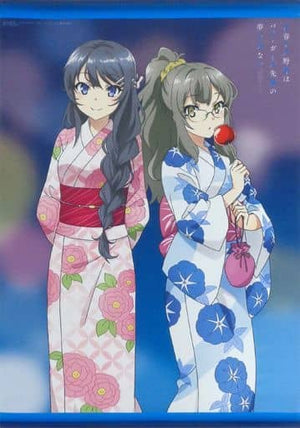 Mai & Rio Newly Drawn W Suede B2 Tapestry Blu-ray/DVD Rascal Does Not Dream of Bunny Girl Senpai Toranoana Whole Volume Purchase Bonus Tapestry [USED]