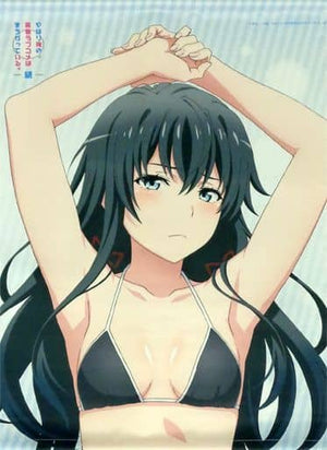 Yukinoshita Yukino B2 Tapestry My Teen Romantic Comedy SNAFU Too! 3D Mouse Pad B2 Hobby Stock Limited Edition with Tapestry Included Bonus Single Item Tapestry [USED]