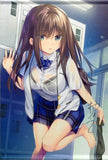 Shinomura Yuri Autographed B2 Tapestry ORYO CLASSMATE COLLECTION AKABEiSOFT2 Comprehensive Project Crowdfunding Investment Benefits Tapestry [USED]