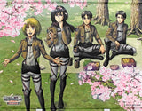 Key Visual B2 Tapestry Attack on Titan -Ohanami Survey Corps- Tapestry [USED]