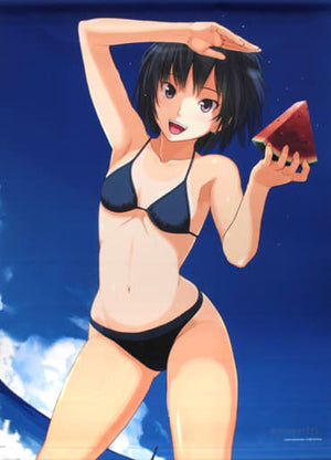 Nanasaki Ai Swimsuits B1 Summer Tapestry Amagami 10th Anniversary Exhibition & Takayama Kisai Solo Exhibition Founding Festival Goods Tapestry [USED]