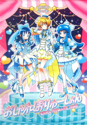 Osha Revolution B2 Tapestry PreCure All Stars Idol PreCure Pretty Store Limited Tapestry [USED]