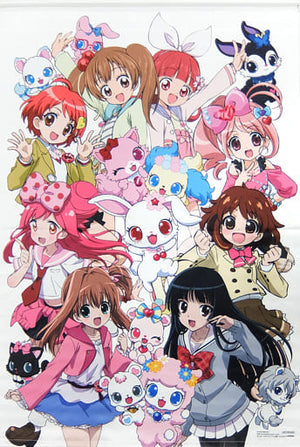 Gathering B1 Tapestry Jewelpet Theme Song Collection 2009 2015 Mail Order Set Limited Tapestry [USED]