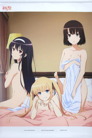 Gathering B1 Tapestry Saekano How to Raise a Boring Girlfriend Fine Saekano SHOP 2019 in Animate Tapestry [USED]