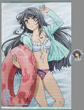 Sakurajima Mai B2 Tapestry with Can Badge Let's Play Together on the Beach! Ver. Rascal Does Not Dream of Bunny Girl Senpai Air Comike 2 Goods Tapestry [USED]