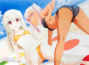 Chloe & Illya B2 Tapestry Blu-ray/DVD Fate/kaleid liner Prisma Illya Prisma Fantasm Animate Limited Edition Included Bonus Single Item Tapestry [USED]