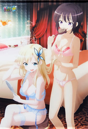 Kashiwazaki Sena & Mikazuki Yozora Original B2 Tapestry Blu-ray/DVD Boku wa Tomodachi ga Sukunai Next G-Store WonderGOO Whole Volume Purchase Bonus Tapestry [USED]