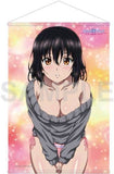 Yukina Himeragi Knit Ver. W Suede B2 Tapestry Strike the Blood IV Tapestry [USED]