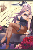 Ikomochi Illustration B2 Tapestry Black Bunny Tapestry Collection 05 Tapestry [USED]