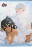 Homura & Miyabi Newly Drawn B2 Tapestry Switch Soft Neptunia SENRANKAGURA Ninja Wars Animate Purchase Bonus Tapestry [USED]