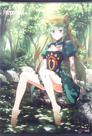 Red Archer Newly Drawn B1 Tapestry Fate/Apocrypha Blu-ray Disc Box II Gamers Purchase Benefits Tapestry [USED]