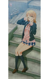 Isshiki Iroha Stairs Newly Drawn BIG Tapesty Silver Sign ver. My Teen Romantic Comedy SNAFU Climax Tapestry [USED]