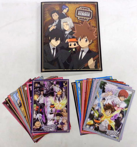 Reborn! Big Postcard Set with File Postcards [USED]