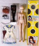 Mariko After School Akihabara Girls DD Festival 2013 in Hobby Paradise & Hobby Paradise Web Limited Plush Toys [USED]